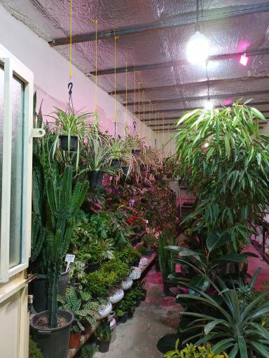 گلخانه سادات