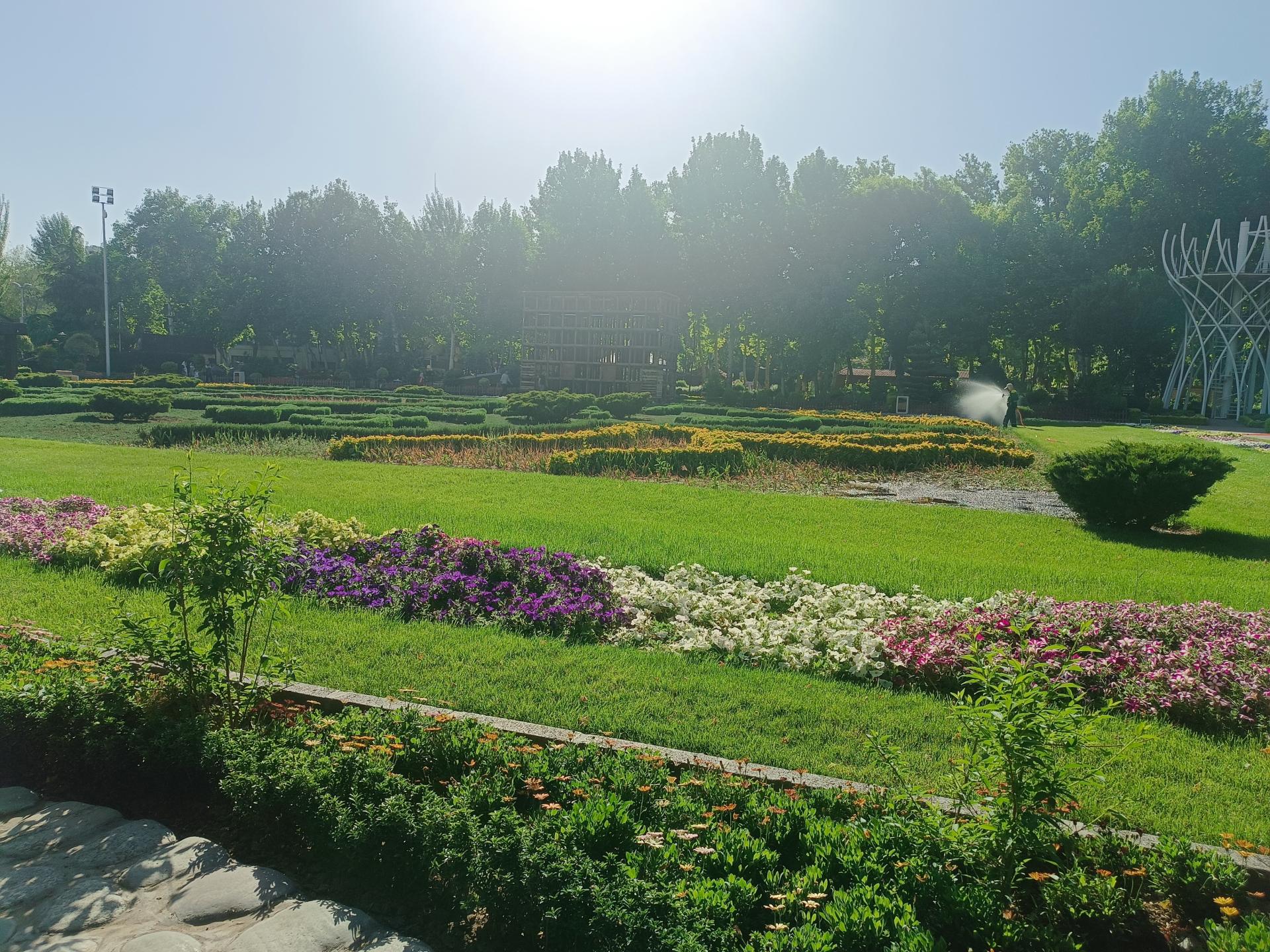 عکس پارک ژوراسیک چمران