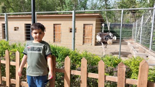 عکس پارک ژوراسیک چمران