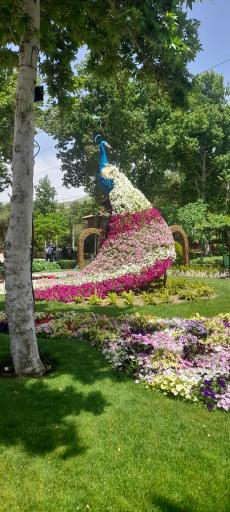 عکس پارک ژوراسیک چمران