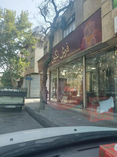 عکس فرش نگین