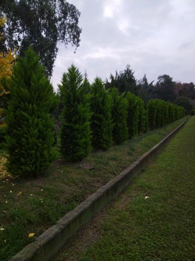 عکس مجموعه گردشگری دیدار سیسنگان