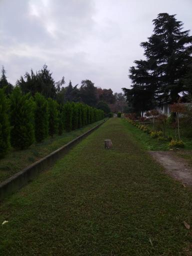 عکس مجموعه گردشگری دیدار سیسنگان