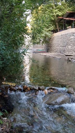 عکس باغ خانوادگی سپیدار