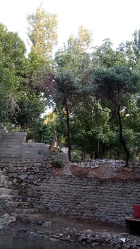 عکس باغ خانوادگی سپیدار