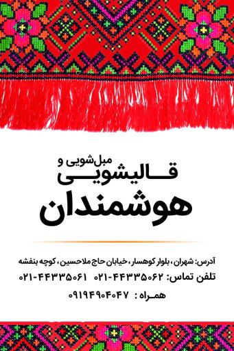 عکس قالیشویی هوشمندان 