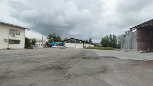 عکس مجتمع تولیدی آذر گندم