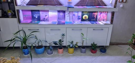 عکس سنتور سرا و گالری هنری و موسیقی آستان جانان