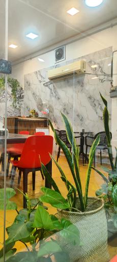 عکس پیتزا ساندویچ دلانو