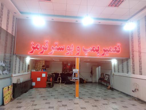 بوستر ترمز 110