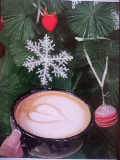 عکس کافی شاپ بایوفیت