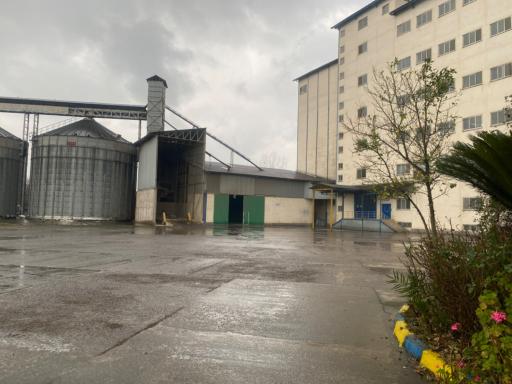 عکس شرکت تولیدی آرد آذر گندم