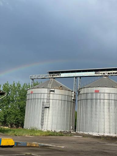 عکس شرکت تولیدی آرد آذر گندم