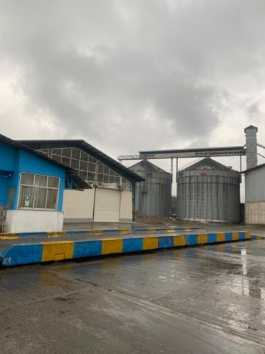 عکس شرکت تولیدی آرد آذر گندم