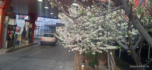 عکس پمپ بنزین اختصاصی مهرشهر