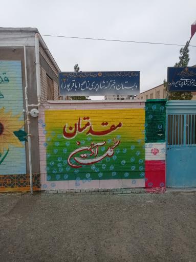 عکس دبستان دخترانه شاه‌پری ناصح