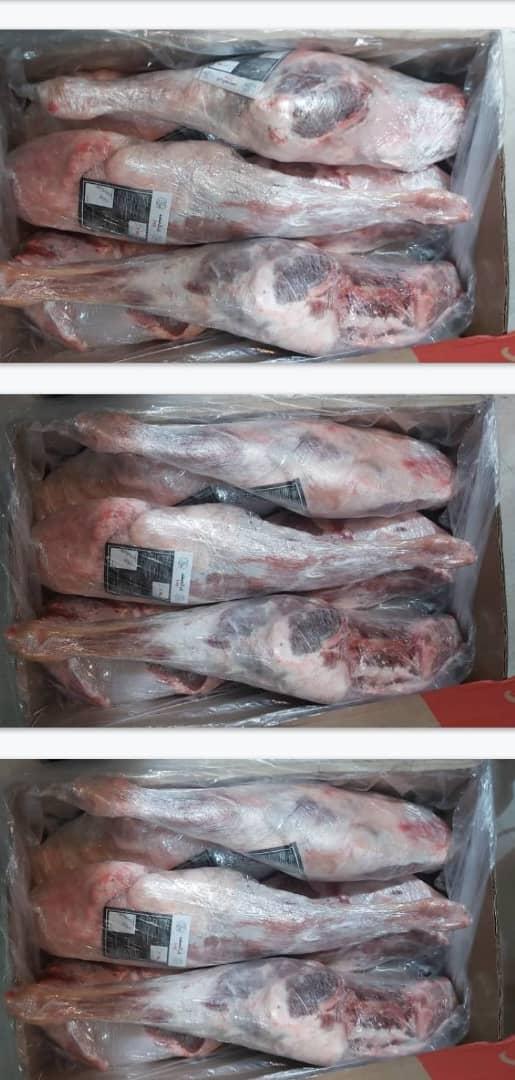 عکس پروتئین امین 