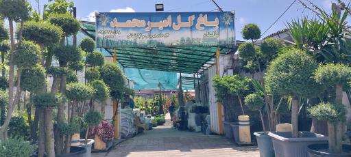 عکس باغ گل امیر محمد