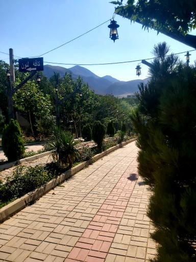 عکس کافه لئون