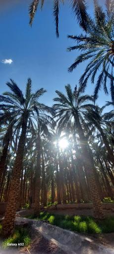 قنات اکبرآباد بم