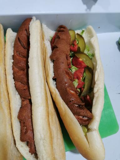 عکس ساندویچی آریا