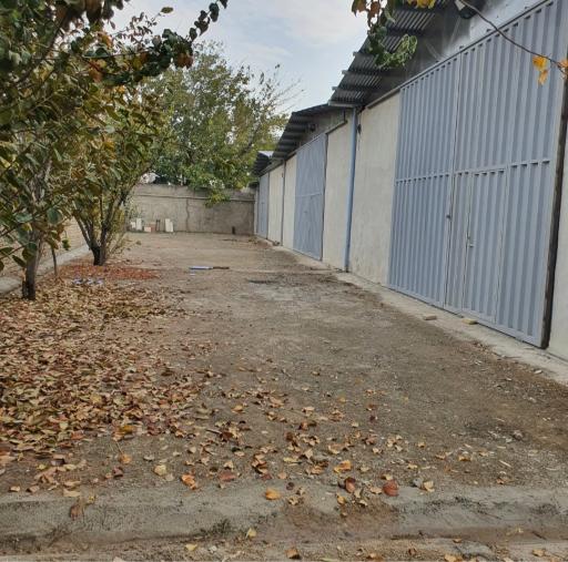 عکس مجتمع توتام