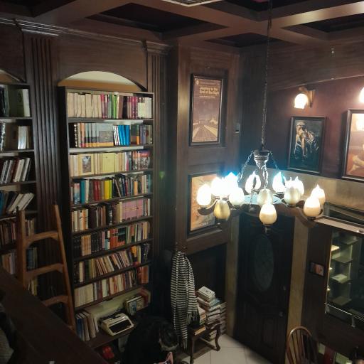 عکس کافه کتاب پرنده آبی