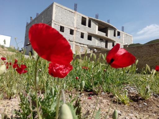 عکس موسسه خیریه صالحین توانمند بقیه الله