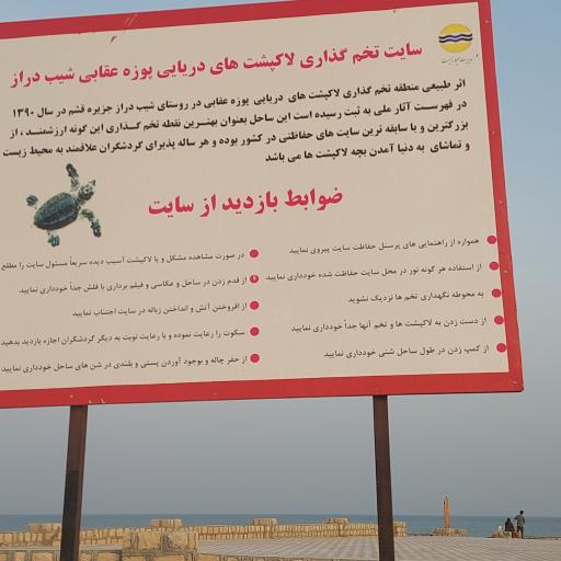 ساحل تخم‌گذاری لاکپشت‌ ها