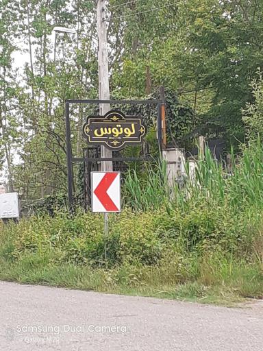 عکس تالار لوتوس 