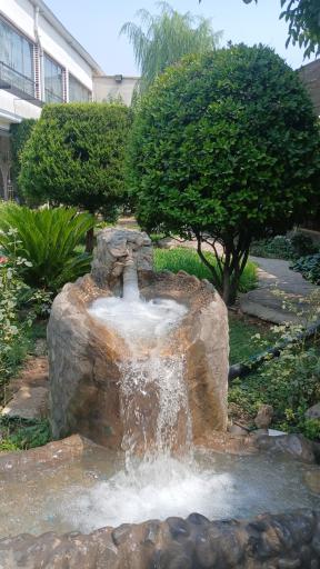 عکس رستوران زوفا