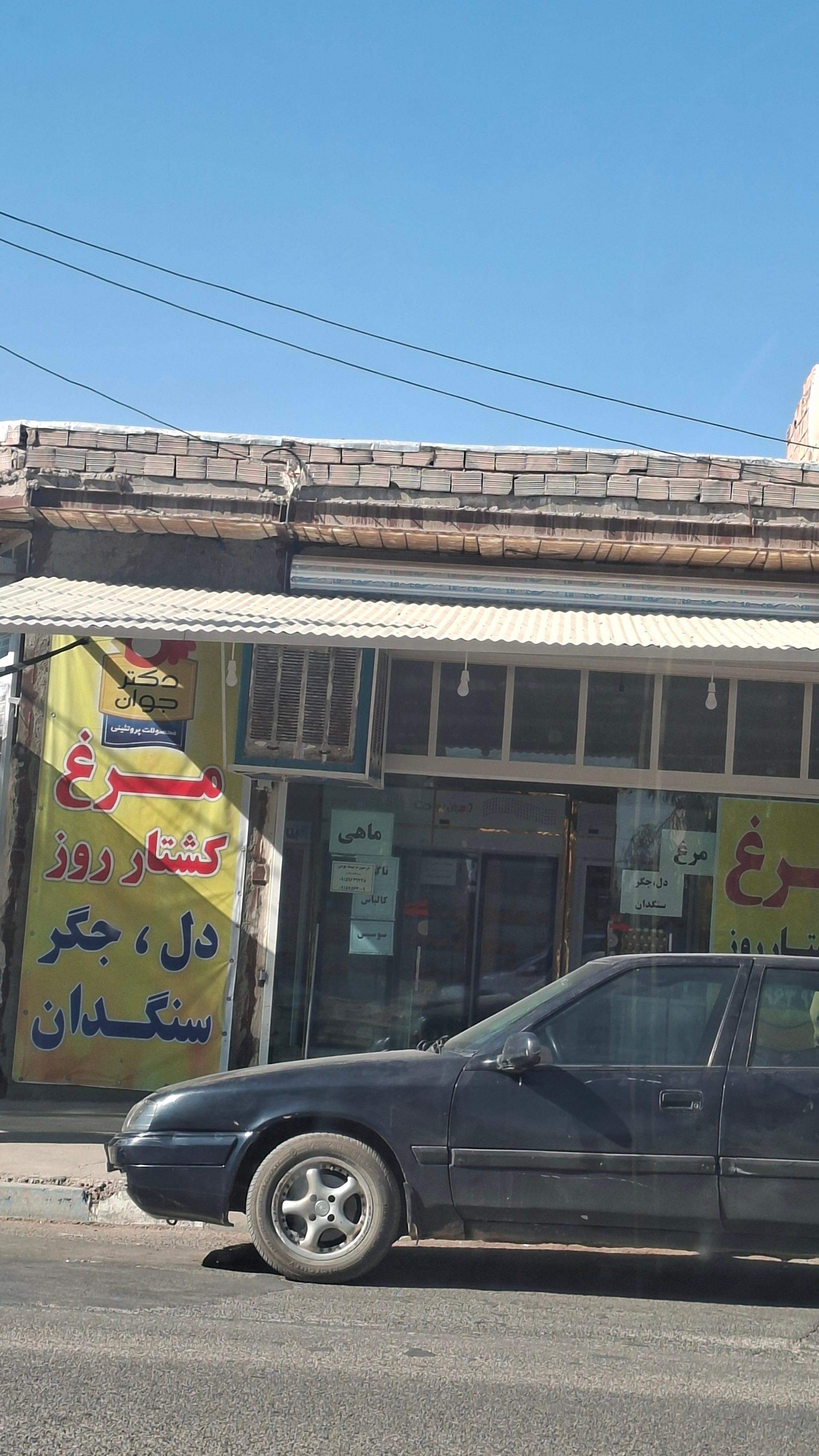 عکس مرغ دکتر جوان