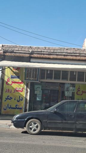 عکس مرغ دکتر جوان