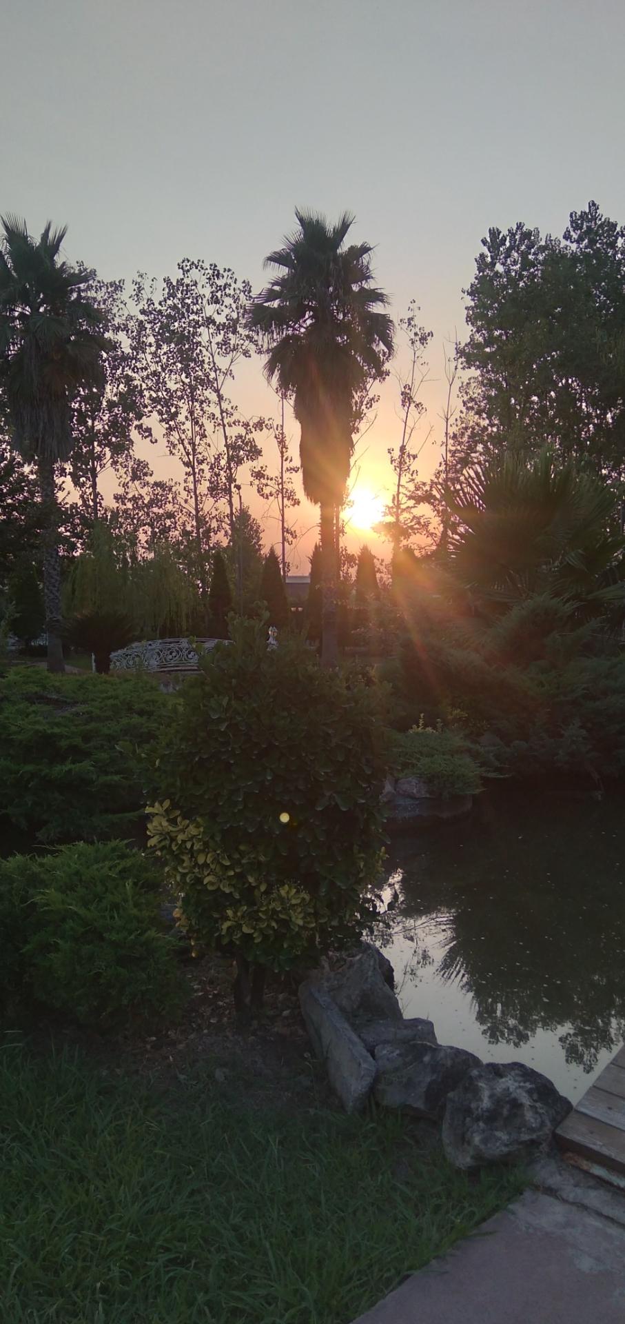 عکس تالار لوتوس 