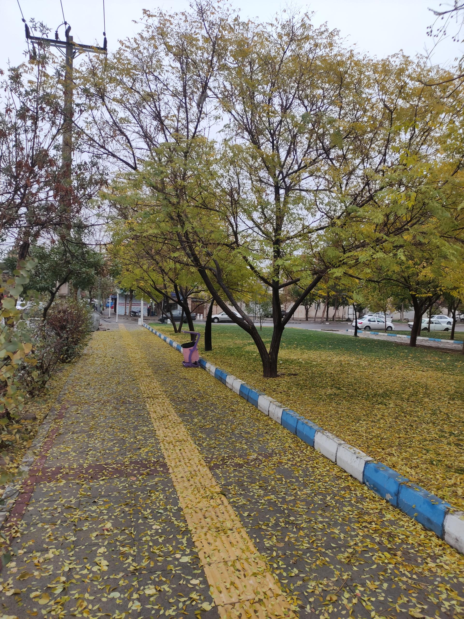 عکس بوستان  پارک پروین