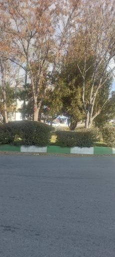 عکس میدان گلها