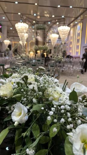 عکس تالار شاهان