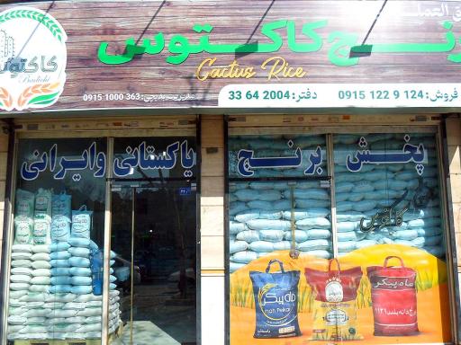 عکس برنج کاکتوس