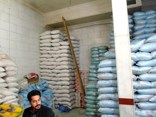 عکس برنج کاکتوس