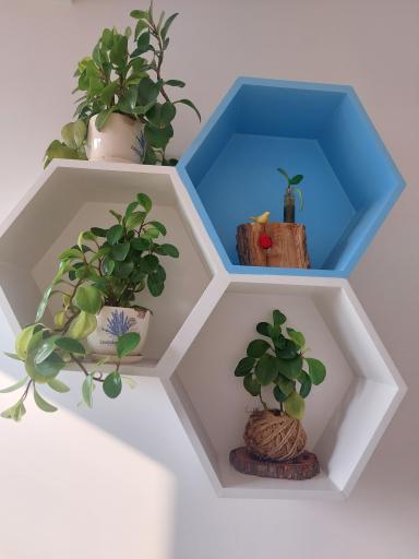 عکس مطب دکتر احسان کرباسی