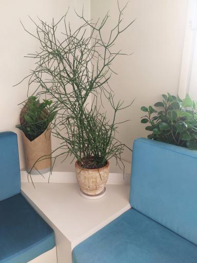 عکس مطب دکتر احسان کرباسی