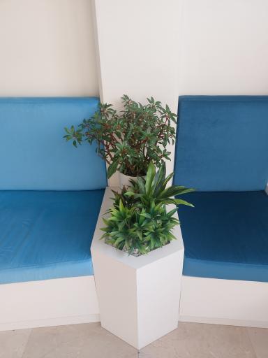 عکس مطب دکتر احسان کرباسی