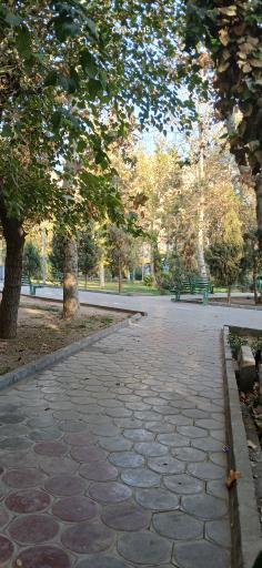 عکس بوستان گلبرگ