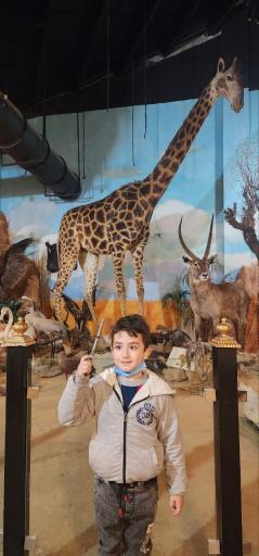 عکس رویا پارک