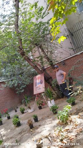 عکس خانه ابتهاج