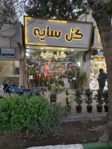 عکس گل سایه