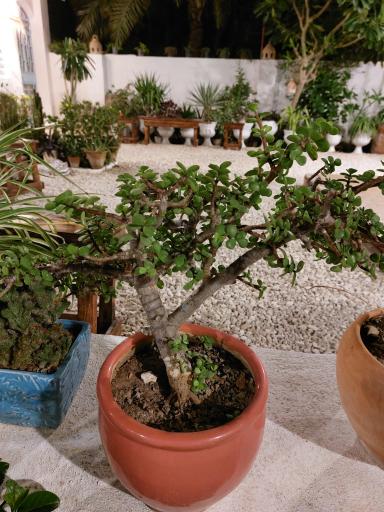 عکس اقامتگاه سکنا