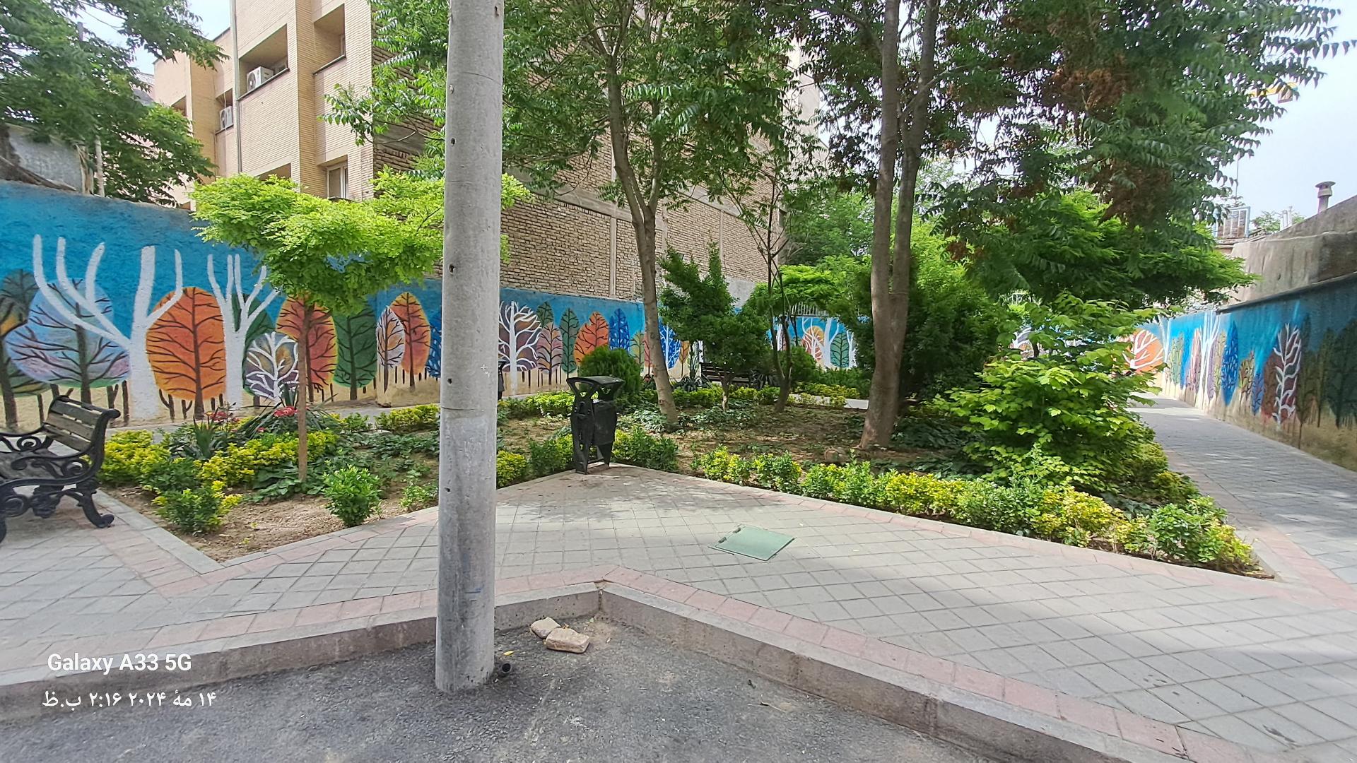 عکس فضای سبز