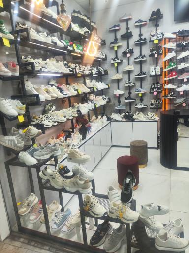 عکس کفش آلستر