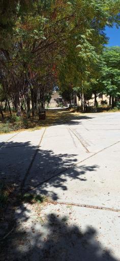 عکس دانشگاه فرهنگیان کرمان